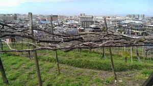 0404-4.jpg
