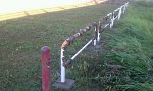 IMAG0143.jpg